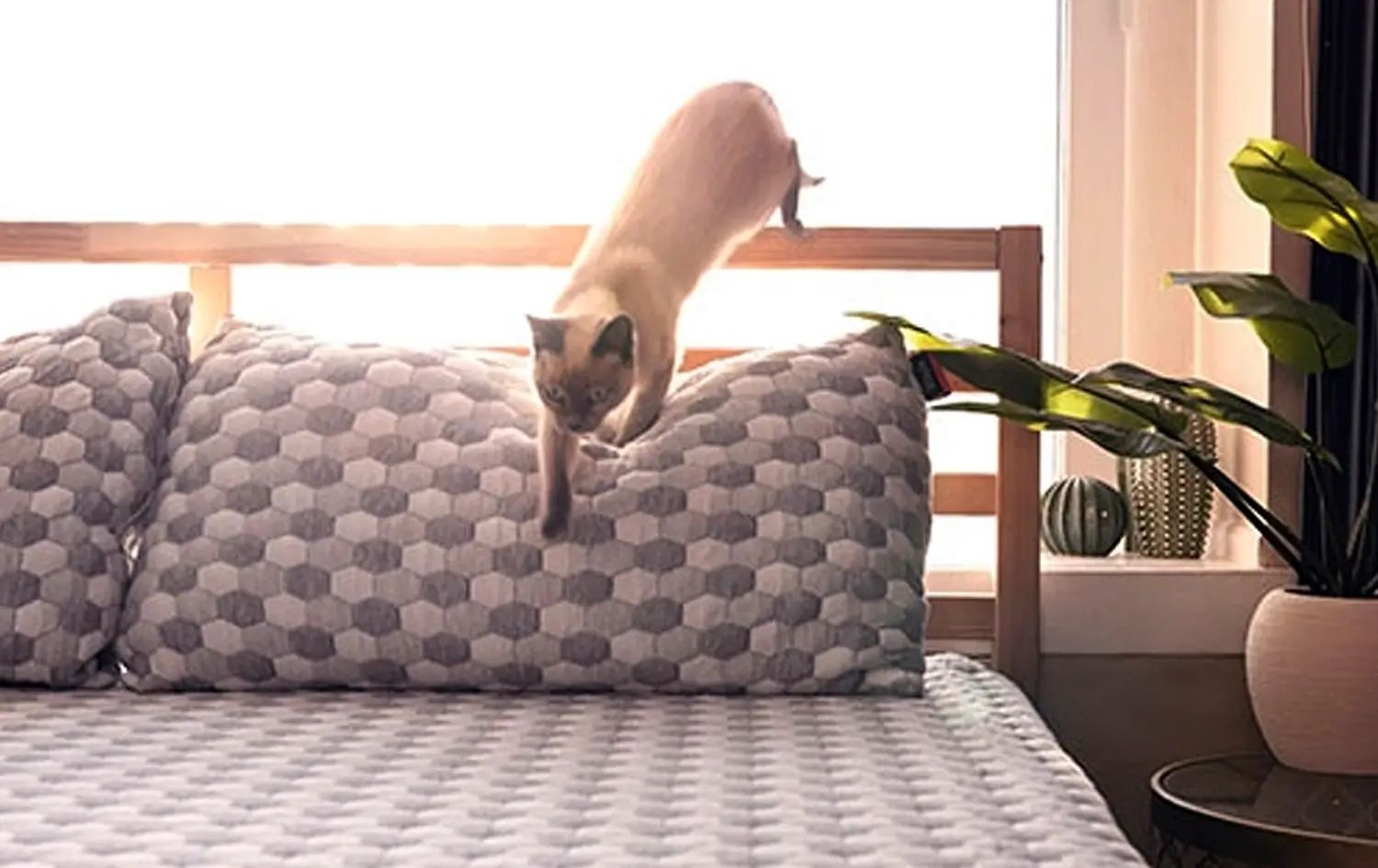 Exercise Before Bed: Is It Good or Bad for Your Sleep Quality?