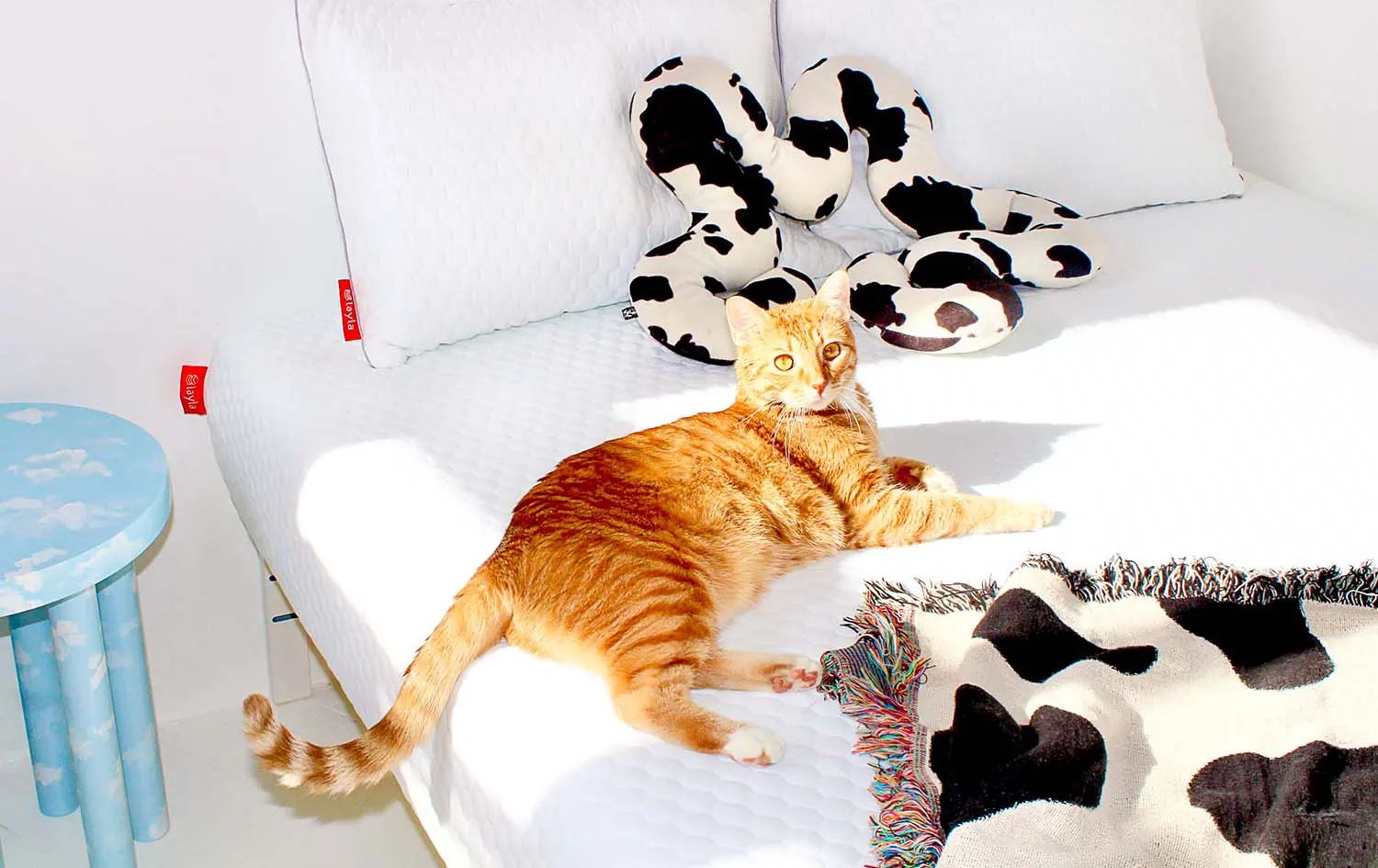 How to Deodorize a Mattress: Removing Sweat and Odors Fast