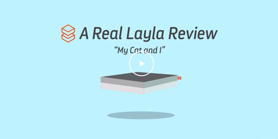Real Reviews – My Cat and I